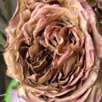 S3/Epi. 32: Boundaries and Self-Care